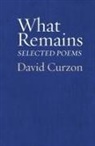 David Curzon - What Remains: Selected Poems