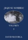 David Mayorga - Bajo Su Sombra Volumen 3