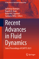 Ramesh K. Agarwal, Jyotirmay Banerjee, Rupesh D Shah, Ramesh K Agarwal et al, Sushanta Mitra, Dr Rupesh D Shah... - Recent Advances in Fluid Dynamics