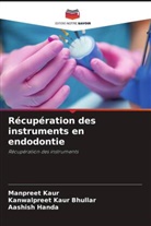 Kanwalpreet Kaur Bhullar, Aashish Handa, Manpreet Kaur - Récupération des instruments en endodontie