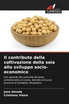 José Amoda, Cristiano Vieira - Il contributo della coltivazione della soia allo sviluppo socio-economico
