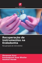 Kanwalpreet Kaur Bhullar, Aashish Handa, Manpreet Kaur - Recuperação de instrumentos na Endodontia