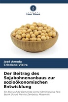 José Amoda, Cristiano Vieira - Der Beitrag des Sojabohnenanbaus zur sozioökonomischen Entwicklung