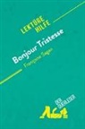 Dominique Coutant-Defer, Dominique Coutant-Defer, Pierre-Maximili Jenoudet, Pierre-Maximilien Jenoudet, Pierre-Maximilien Jenoudet - Bonjour Tristesse von Françoise Sagan (Lektürehilfe)