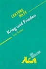 derQuerleser, Julie Mestrot, Julie Mestrot - Krieg und Frieden von Leo Tolstoi (Lektürehilfe)