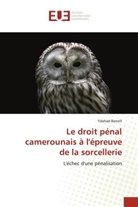Ydahad Benoît - Le droit pénal camerounais à l'épreuve de la sorcellerie