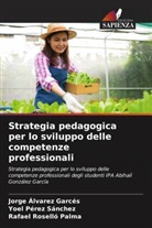 Jorge Álvarez Garcés, Yoel Pérez Sánchez, Rafael Roselló Palma - Strategia pedagogica per lo sviluppo delle competenze professionali
