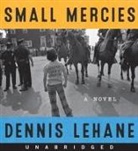 Dennis Lehane, Robin Miles - Small Mercies CD (Hörbuch)