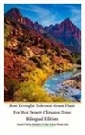 Cyber Sakura Flower Labs, Jannah Firdaus Mediapro - Best Drought Tolerant Grass Plant For Hot Desert Climates Zone Bilingual Edition Hardcover Version