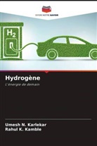 Rahul K. Kamble, Umesh N. Karlekar - Hydrogène