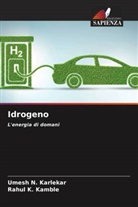 Rahul K. Kamble, Umesh N. Karlekar - Idrogeno