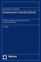 Axel Schmidt, Karl Westhoff - Kindeswohl interdisziplinär