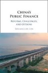 Shuanglin Lin, Shuanglin (Peking University Lin, Lin Shuanglin - China''s Public Finance