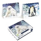 Kartenbox. Doppelkarte. Tom Smith - Luxury - Polar Bear & Penguins FSC