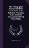 David White - The Stratigraphic Succession of the Fossil Floras of the Pottsville Formation in the Southern Anthracite Coal Field, Pennsylvania