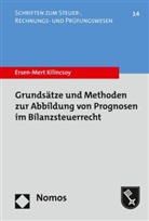 Ersen-Mert Kilincsoy - Grundsätze und Methoden zur Abbildung von Prognosen im Bilanzsteuerrecht