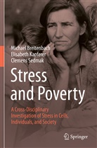 Michael Breitenbach, Elisabeth Kapferer, C Sedmak, Clemens Sedmak - Stress and Poverty