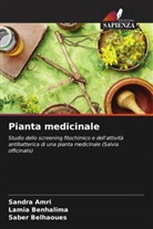Sandra Amri, Saber BELHAOUES, Lamia Benhalima - Pianta medicinale