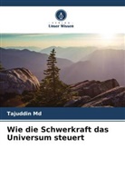 Tajuddin Md - Wie die Schwerkraft das Universum steuert