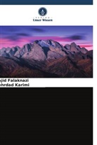 Majid Falaknazi, Mehrdad Karimi - Das Vorkommen von Titanvorkommen im südöstlichen Ophiolith des Iran