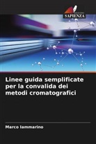 Marco Iammarino - Linee guida semplificate per la convalida dei metodi cromatografici