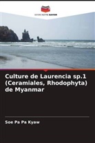 Soe Pa Pa Kyaw - Culture de Laurencia sp.1 (Ceramiales, Rhodophyta) de Myanmar
