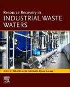 Khum Gurung, Khum (Post-doctoral Researcher Gurung, Ali Khadir, Ali (Environmental Engineer Khadir, Mika Silanpää, Mika Sillanpaa... - Resource Recovery in Industrial Waste Waters