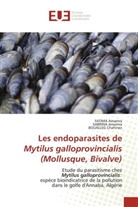Fatima Amamra, Sabrina Amamra, Boualleg Chahinez - Les endoparasites de Mytilus galloprovincialis (Mollusque, Bivalve)