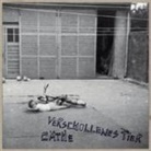 Verschollenes Tier (Audio book)