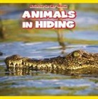 Michael Salaka - Animals in Hiding