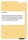 Jens Czuday - Vollbeschäftigung und demografischer Wandel. Welche Konsequenzen ergeben sich aus dem Fachkräftemangel für die Berufs- und Werkfeuerwehren?