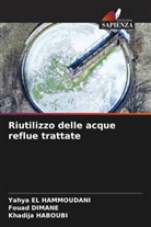 Fouad Dimane, Yahya El Hammoudani, Khadija Haboubi - Riutilizzo delle acque reflue trattate