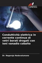 Dr. Nagaraja Nadavalumane, Nagaraja Nadavalumane - Conduttività elettrica in corrente continua di vetri borati drogati con ioni vanadio cobalto