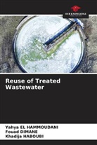 Fouad Dimane, Yahya El Hammoudani, Khadija HABOUBI - Reuse of Treated Wastewater