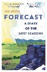 Joe Shute - Forecast