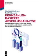 Manfred Kühnberger, Veit Wohlgemuth - Kennzahlenbasierte Abschlussanalyse