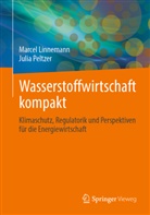 Marcel Linnemann, Julia Peltzer - Wasserstoffwirtschaft kompakt
