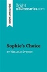 Bright Summaries, Bright Summaries - Sophie's Choice by William Styron (Book Analysis)