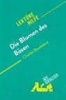 Danny Dejonghe, Danny Dejonghe, Larissa Duval, Larissa Duval - Die Blumen des Bösen von Charles Baudelaire (Lektürehilfe)