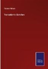 Thomas Wilson - Transatlantic Sketches