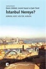 Deniz Göktürk, Müge Gürsoy Sökmen, Levent Soysal, Ipek Türeli - Istanbul Nereye