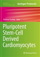 Yoshinori Yoshida - Pluripotent Stem-Cell Derived Cardiomyocytes