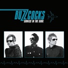 BUZZCOCKS - Sonics In The Soul, 1 Audio-CD (Hörbuch)