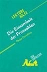 Audrey Millot, derQuerleser, Audrey Millot - Die Einsamkeit der Primzahlen von Paolo Giordano (Lektürehilfe)