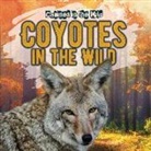 Natalie Humphrey - Coyotes in the Wild