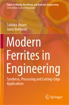 Sabrina Arcaro, Janio Venturini - Modern Ferrites in Engineering