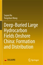 Suyun Hu, Tongshan Wang - Deep-Buried Large Hydrocarbon Fields Onshore China: Formation and Distribution