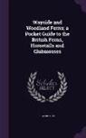 Edward Step - Wayside and Woodland Ferns; A Pocket Guide to the British Ferns, Horsetails and Clubmosses