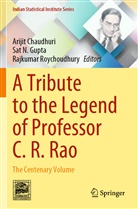 Arijit Chaudhuri, Sat N. Gupta, Sat N Gupta, Rajkumar Roychoudhury - A Tribute to the Legend of Professor C. R. Rao
