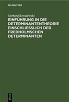 Gerhard Kowalewski - Einführung in die Determinantentheorie einschließlich der Fredholmschen Determinanten